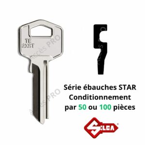 Ebauches de clé Silca STAR TE2XST